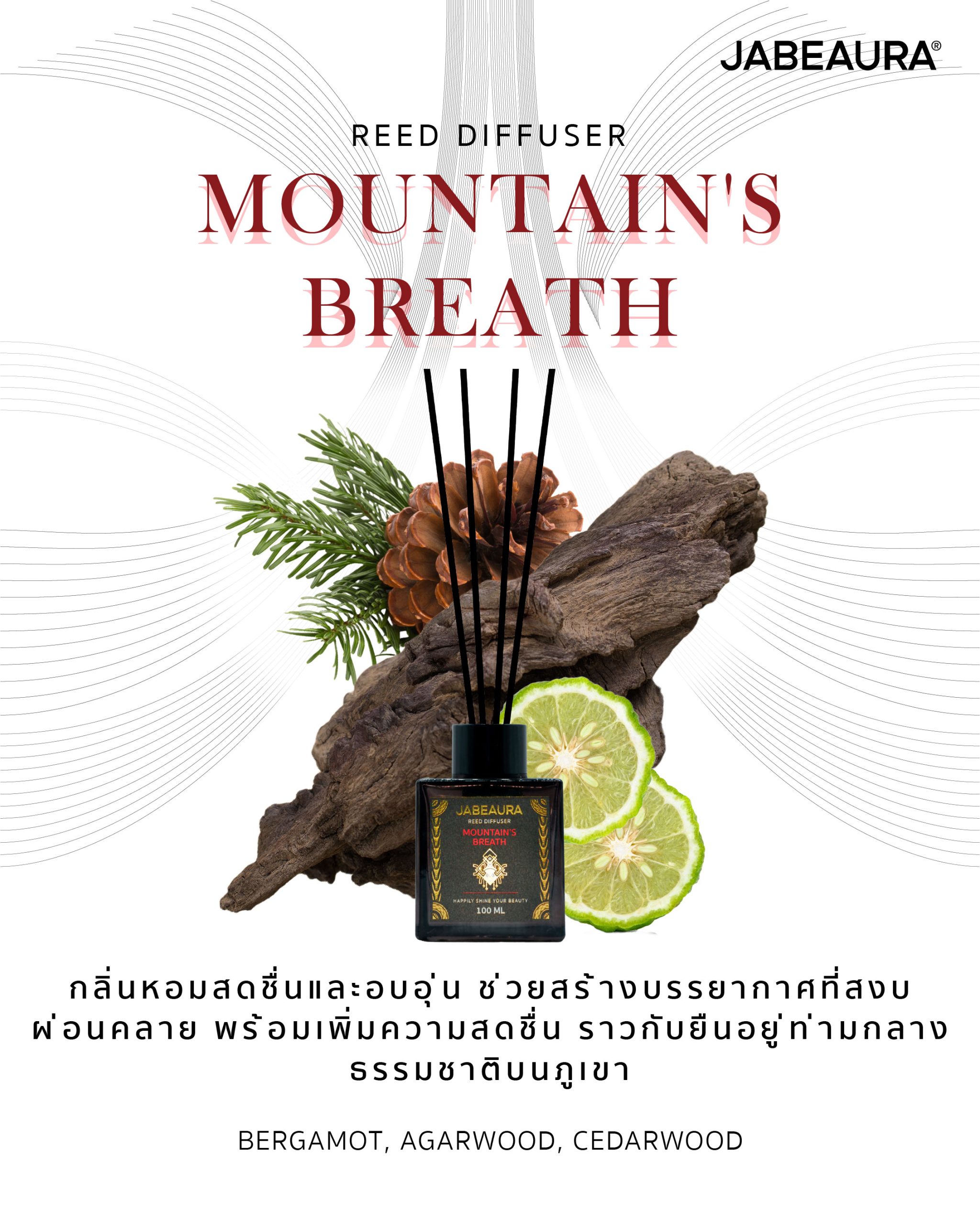 CONTENT_Jabeaura_Reed-diffuser-08